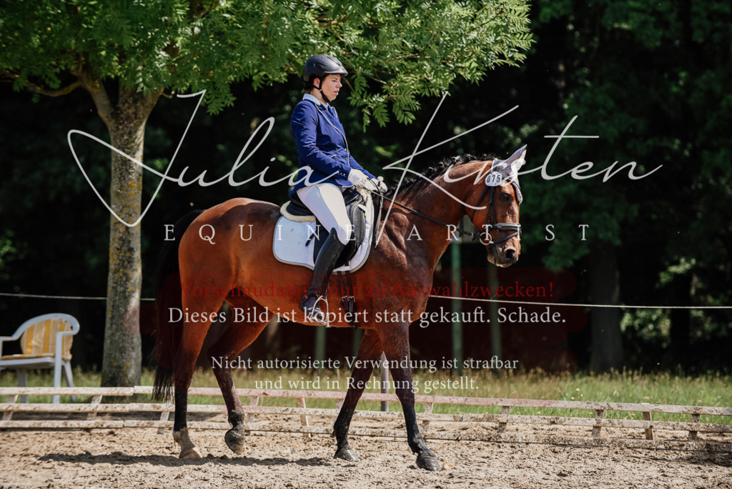 DSC_1207 | Pferde- und Turnierfotografie in Westsachsen. Pferdeportraits, Auftragszeichnungen und intuitive Kunst.