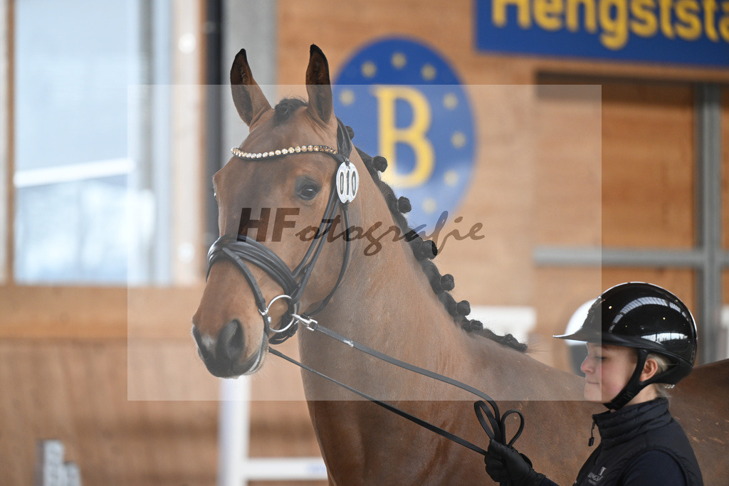 Kat-Nr. 10 Vigaronit v. Vigaro_Feichtner_14260841 | hf-fotografie - Realisiert mit Pictrs.com