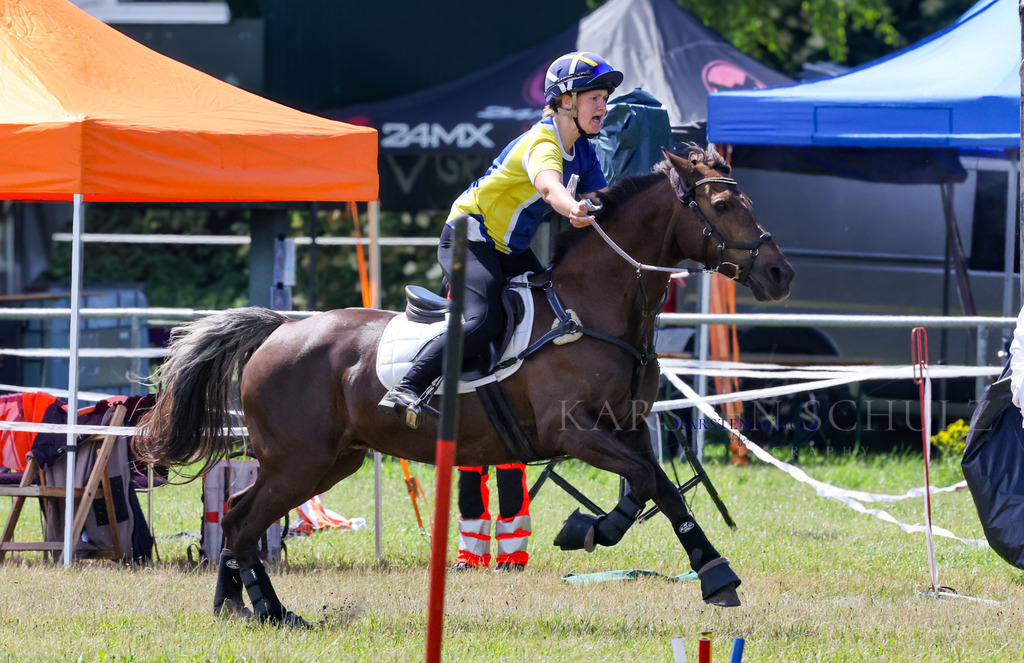 IMG_1590 | Reitsport Reiten