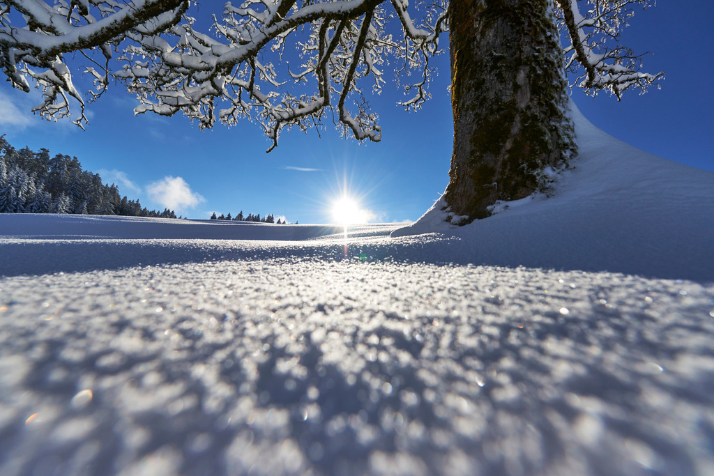 Winterlandschaft am Boedele | Dornbirn, Austria - January 17, 2015: Winterlandschaft am Boedele. - Realisiert mit Pictrs.com