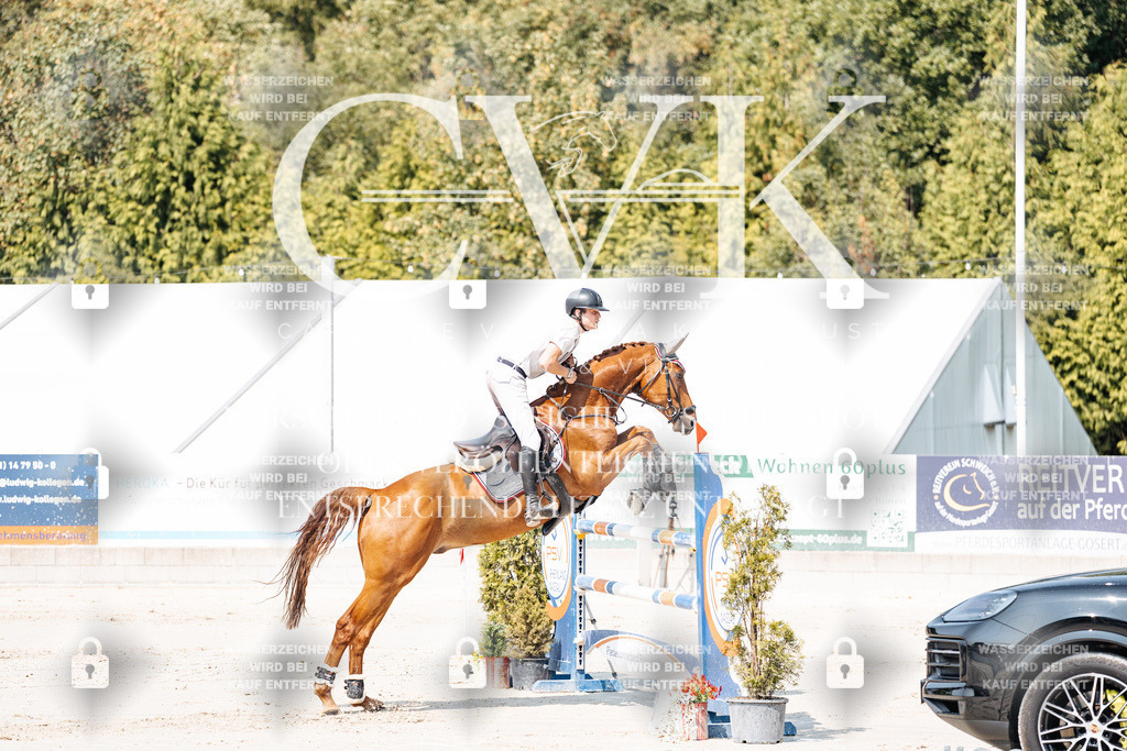 CK901460 | Turnierfotografie Pferdefotografie Trier Rheinland-Pfalz Pferdesport Reitsport Tierfotografie Sportfotografie Pferdevideo Pferdevideografie Equestrianvideography equestrianphotography  - Realisiert mit Pictrs.com