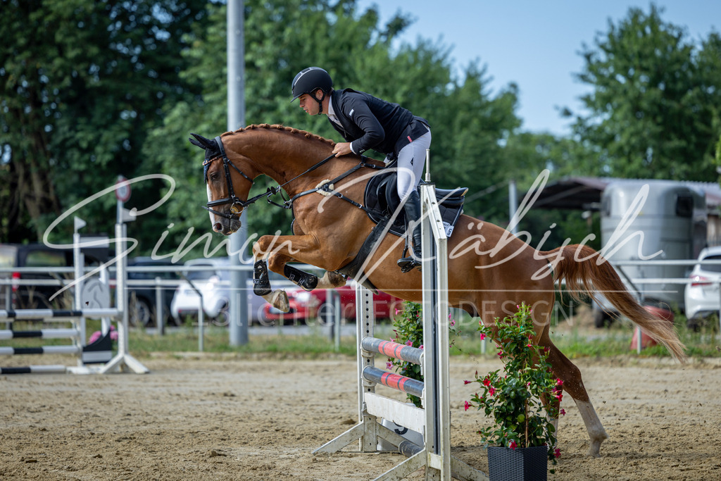 20260704-_3LI6534 | Tierfotografie Pferde, Hunde, Katzen, Haustiere.
Turnierfotografie Reitturniere, Reiten, Springreiten, Dressur in Hanau, dem Main-Kinzig-Kreis und dem Rhein-Main- Gebiet um Frankfurt