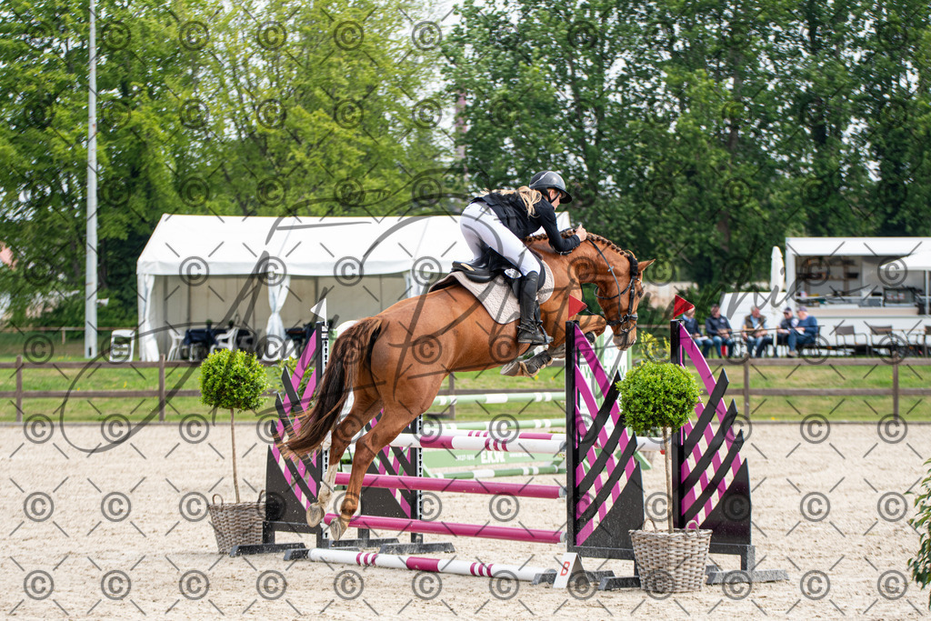 KPT_2526 | andre_photographic