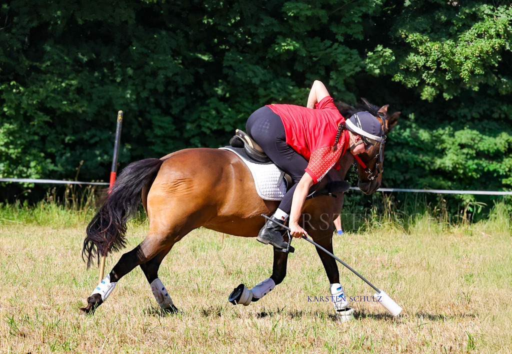 1B3A7941 | Reitsport Reiten