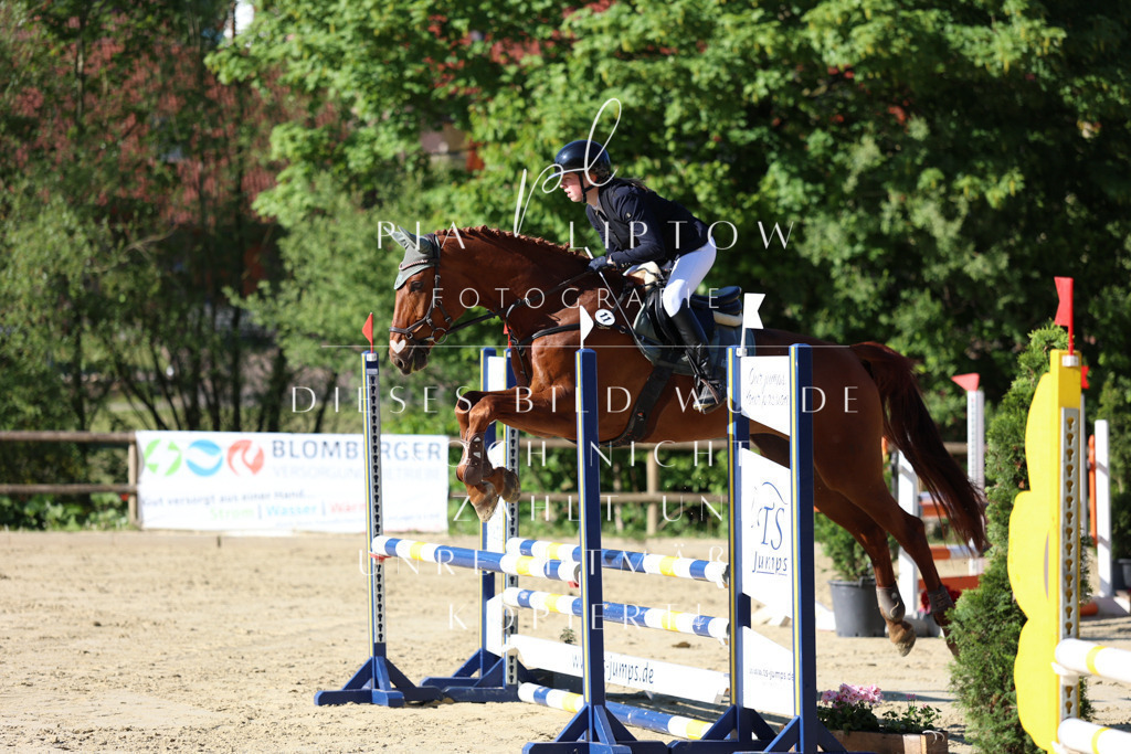 IMGS5519 | pl-fotografie