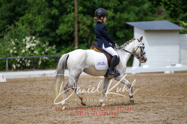 DKP47515 | Turnierfotos kaufen im Webshop von Daniel Kuhl Photography – entdecke professionelle Reitsportfotos aus Turnieren & Events. Hochwertige Turnierbilder online bestellen & sichern. Jetzt Fotos von Reitsportturnieren kaufen!