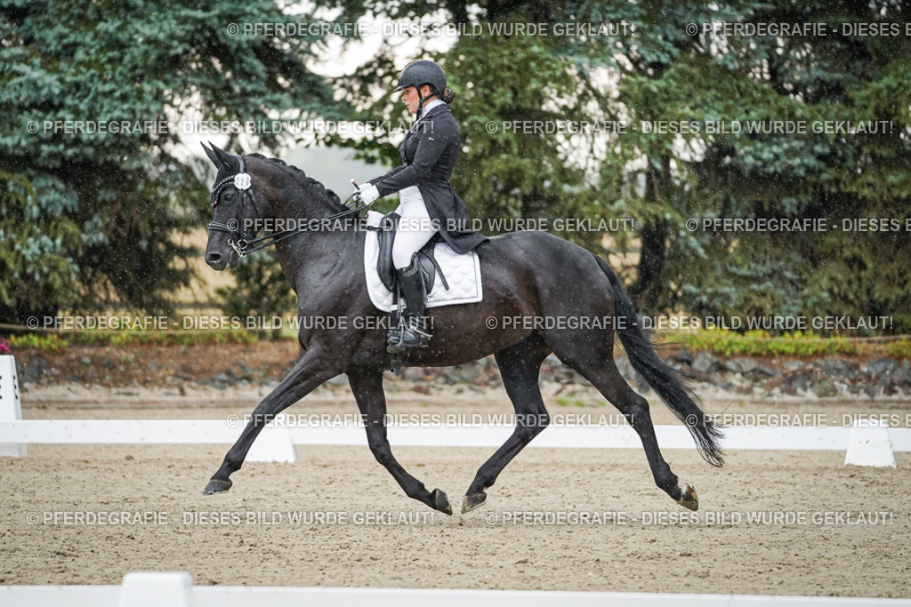 DSC08299 | Pferdegrafie