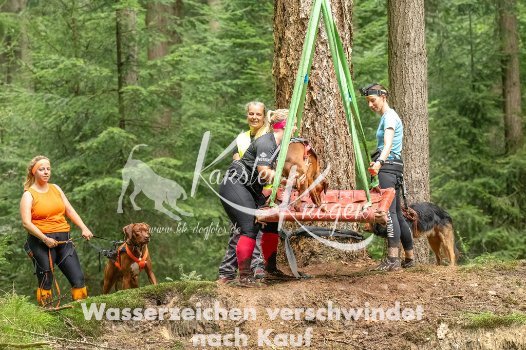 1311_ZZ92194-Bearbeitet | kk-dogfotos