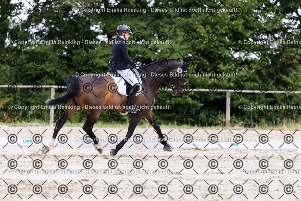 CL5A1994 | Emilia Reinking Fotografie - Realisiert mit Pictrs.com