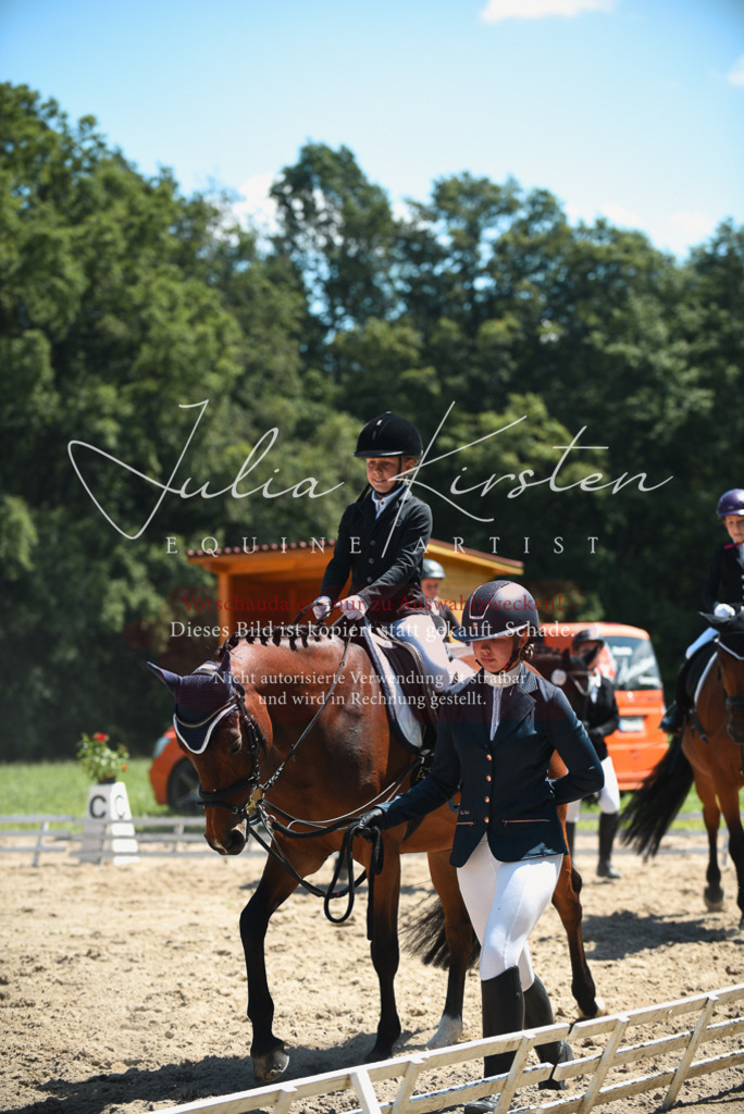 DSC_1681 | Pferde- und Turnierfotografie in Westsachsen. Pferdeportraits, Auftragszeichnungen und intuitive Kunst.