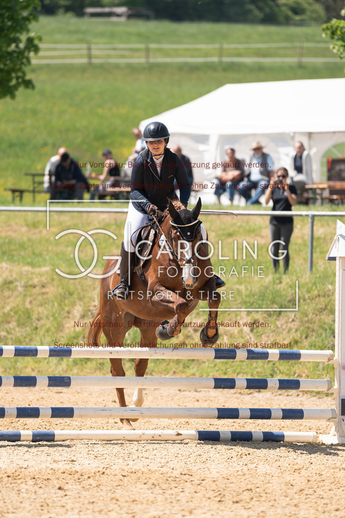 DSC04416 | Springturnier_Ehingen_Mai_2026, Sarah_Schatz, Baccaccios_B