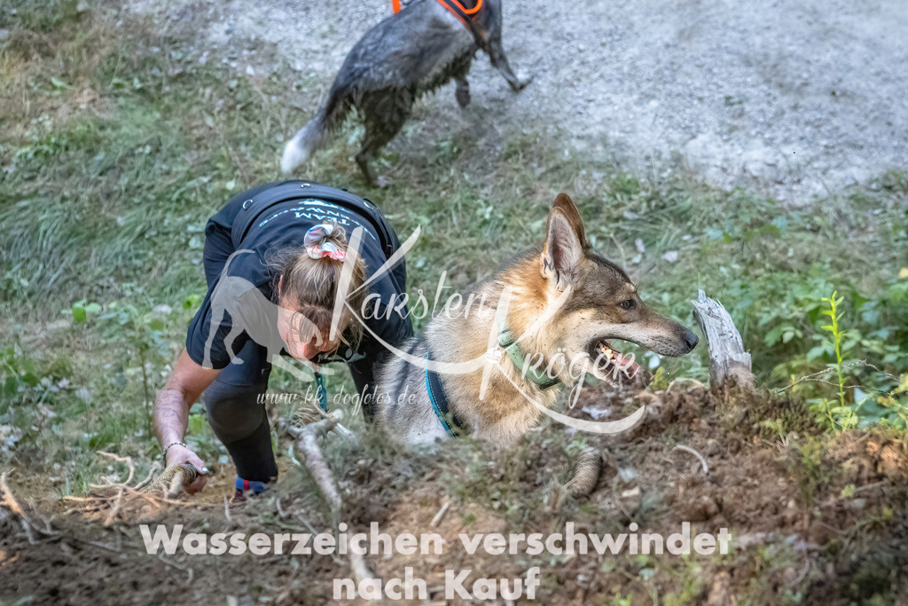 1138_ZZ91147 | kk-dogfotos