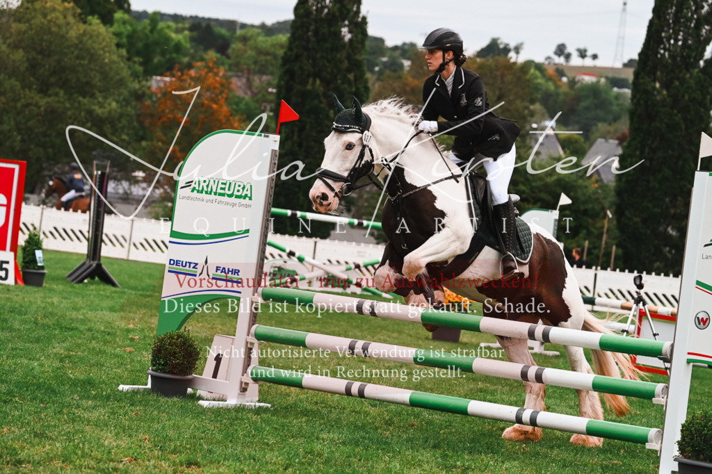 DSC_6236 | Pferde- und Turnierfotografie in Westsachsen. Pferdeportraits, Auftragszeichnungen und intuitive Kunst.