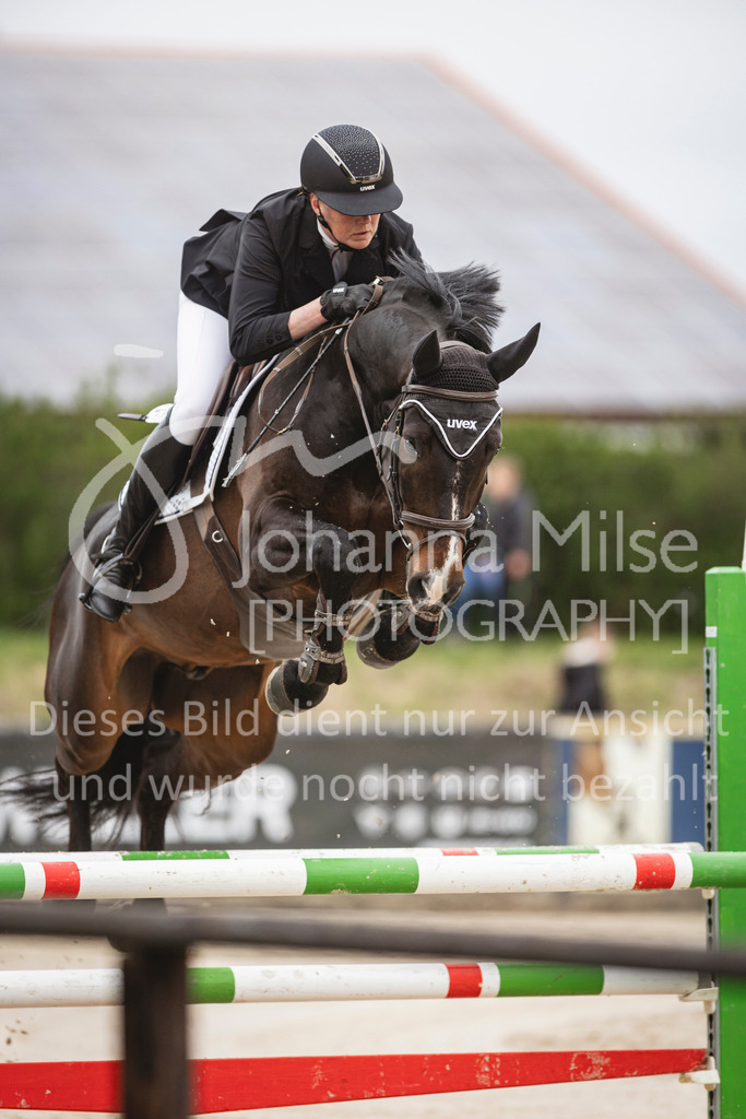 250417_Springpferde-L2-346 | Deine schönsten Turniermomente als professionelle Fotos! Entdecke hochwertige Pferdesport-Fotografie im Online-Shop. Jetzt Fotos finden & bestellen!