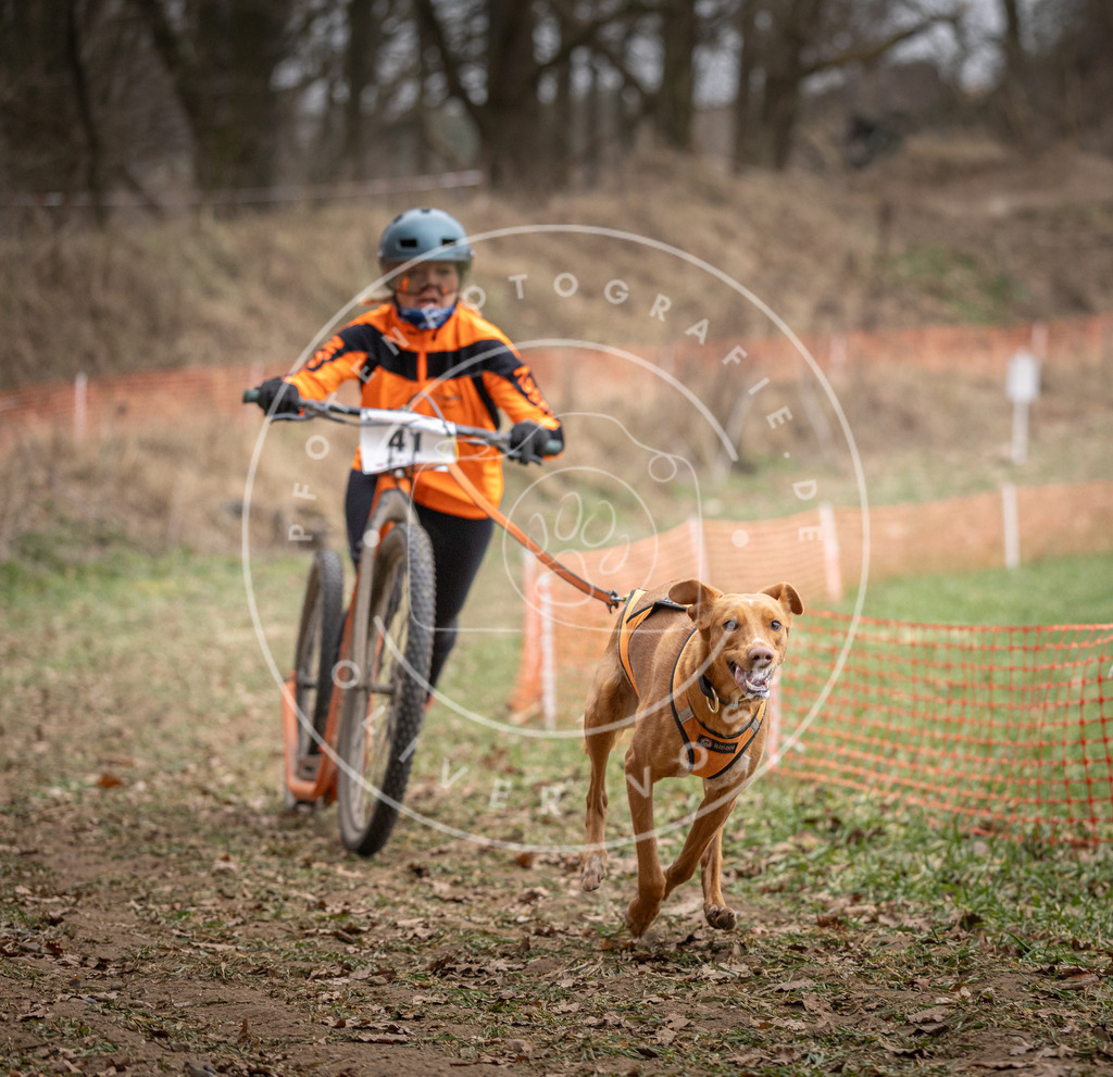 Pfotenfotografie_DV3A6562 | Hundefotografie, Tierfotograf, Pfotenfotografie, Fotoshooting Hund, Hunde Portrait, Hundesport, Hundeportraits, Heideshooting, Hunde, Sportfotograf, Hundefotograf, Turnierhundsport, THS,  - Realisiert mit Pictrs.com