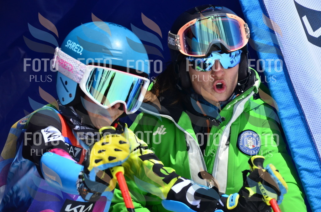 _ELE0602 | holidayphoto