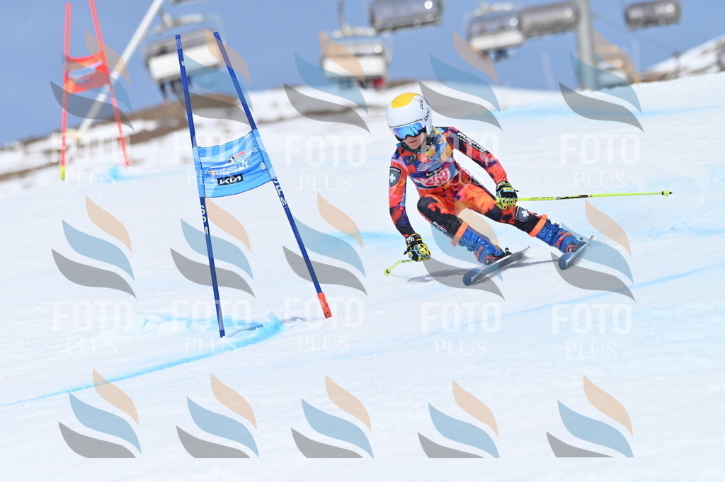 BGV_2032 | holidayphoto