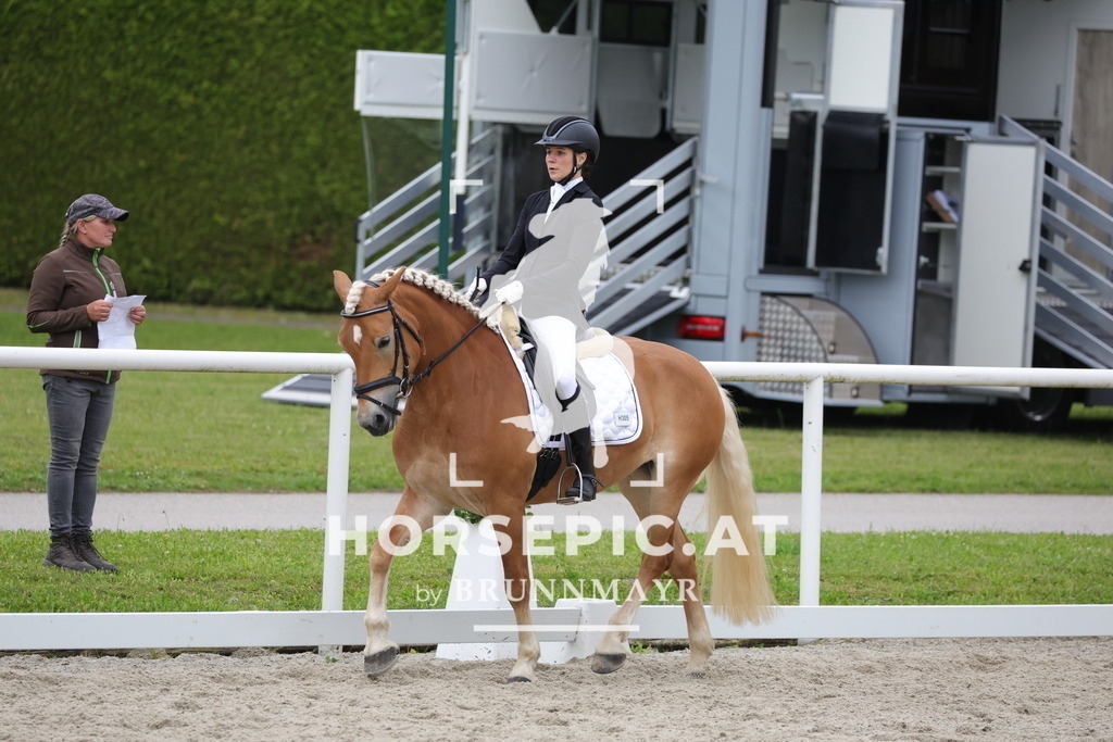 0P6A7072 | Willkommen bei Brunnmayr - Design & Fotografie – Ihrem Spezialisten für Reitturniere und Pferdeveranstaltungen in Oberösterreich, Salzburg und Bayern! Seit über 17 Jahren sind wir leidenschaftlich dabei.