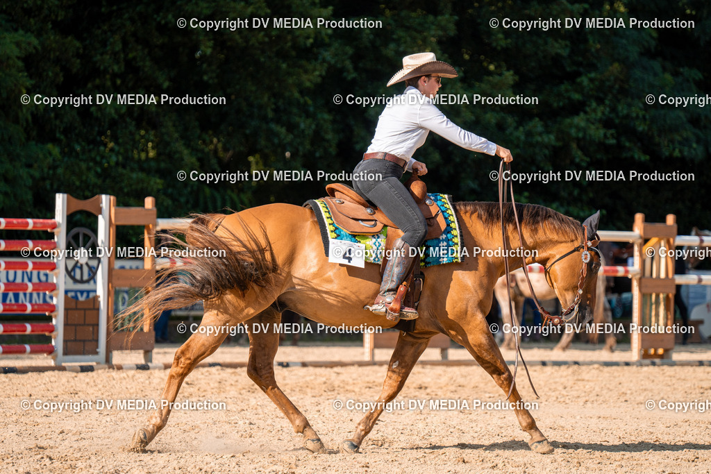 ZH100849 | dv-media-shop - Realisiert mit Pictrs.com