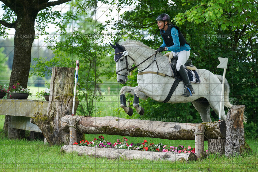 20240518-FAH03734 | Turnierbilder von Niederseon, Turnierfotografen Bayern, Fotoagentur Herrmann, Geländebilder, Reitsportfotografie