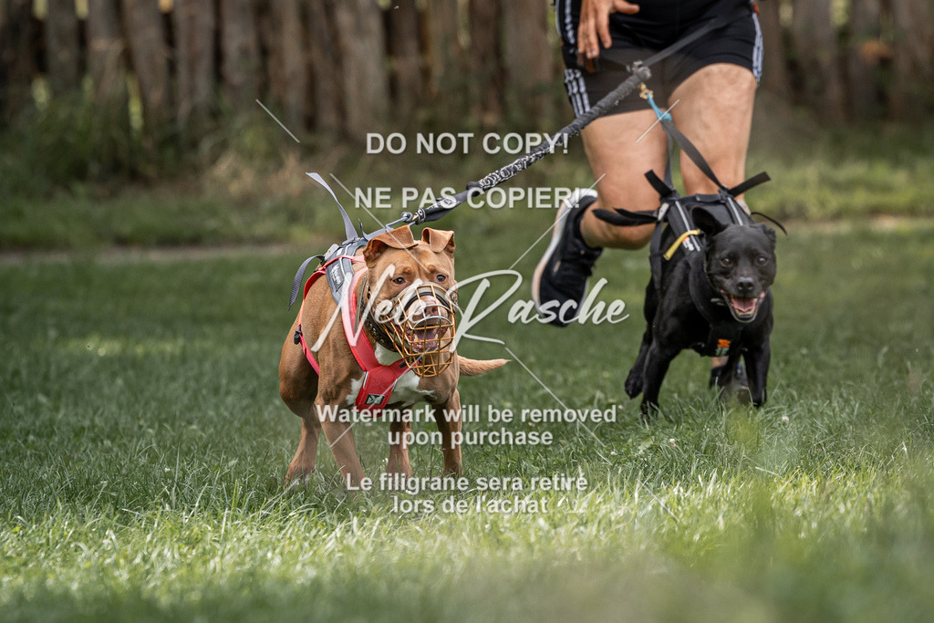 nelerasche_SoLauf_136 | nelerasche