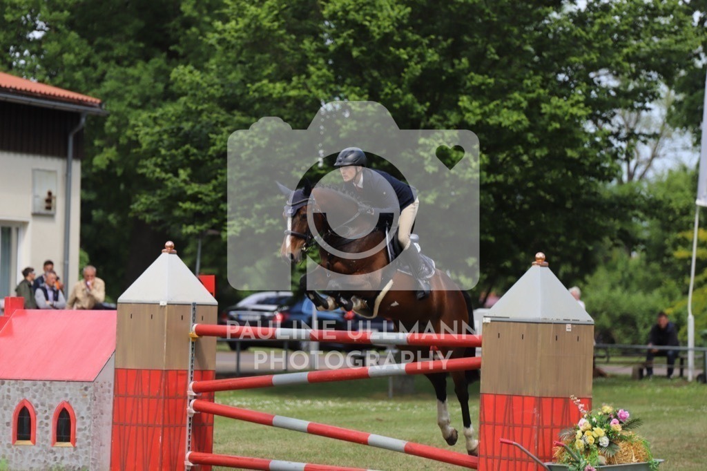 IMG_8930 | Pauline Ullmann Photography - Realisiert mit Pictrs.com