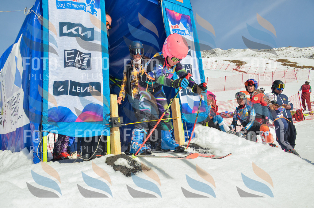 _ELE5260 | holidayphoto