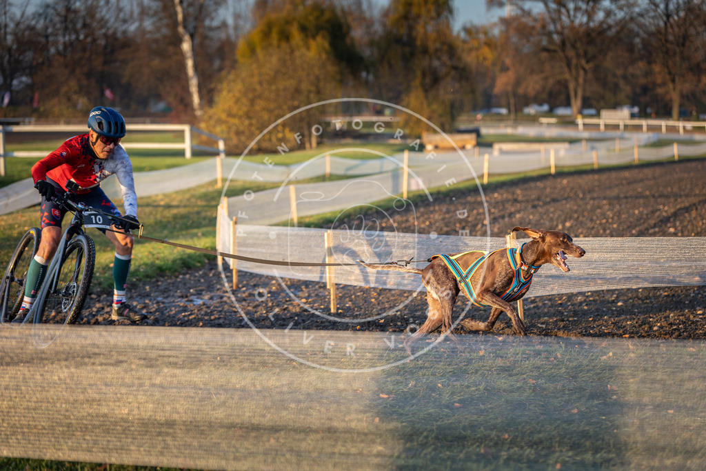 CaniXpix_DV3A9429 | Hundefotografie, Tierfotograf, Pfotenfotografie, Fotoshooting Hund, Hunde Portrait, Hundesport, Hundeportraits, Heideshooting, Hunde, Sportfotograf, Hundefotograf, Turnierhundsport, THS,  - Realisiert mit Pictrs.com