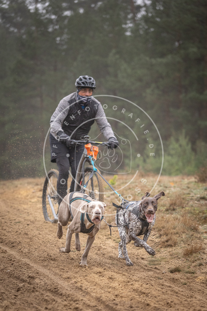 Pfotenfotografie_DV3A1101 | Hundefotografie, Tierfotograf, Pfotenfotografie, Fotoshooting Hund, Hunde Portrait, Hundesport, Hundeportraits, Heideshooting, Hunde, Sportfotograf, Hundefotograf, Turnierhundsport, THS,  - Realisiert mit Pictrs.com