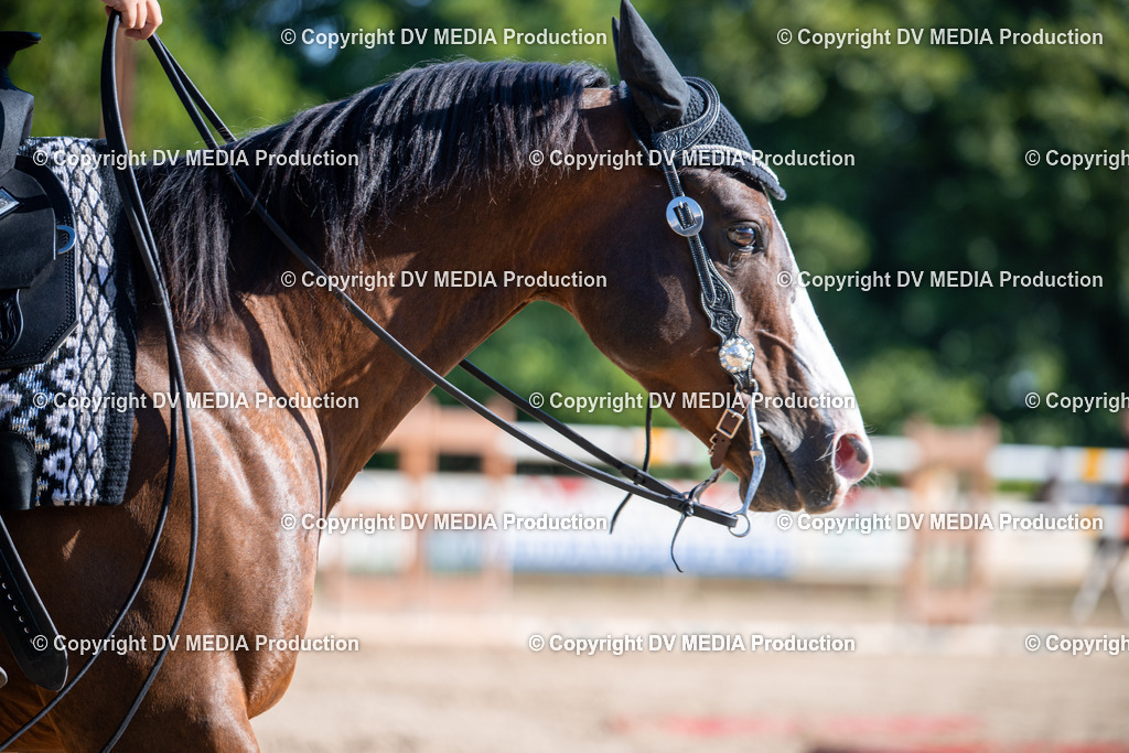 ZS1_0777 | dv-media-shop - Realisiert mit Pictrs.com