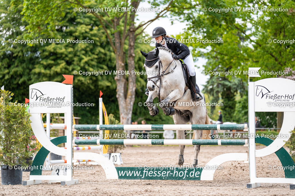 Eppelheim Tag 2-532 | dv-media-shop - Realisiert mit Pictrs.com