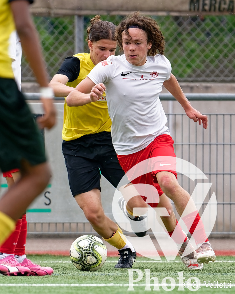 DSC_6743 | Velletri Photo