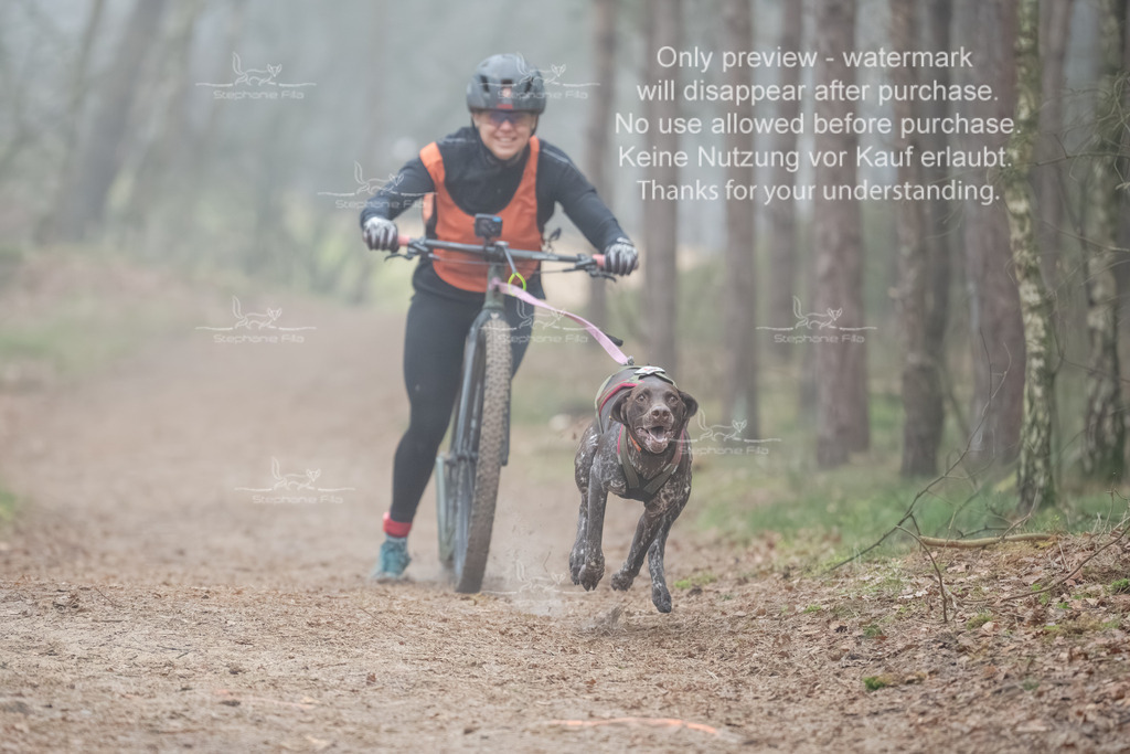 Scooter1-80 | stephaniefillaphotographie - Realisiert mit Pictrs.com