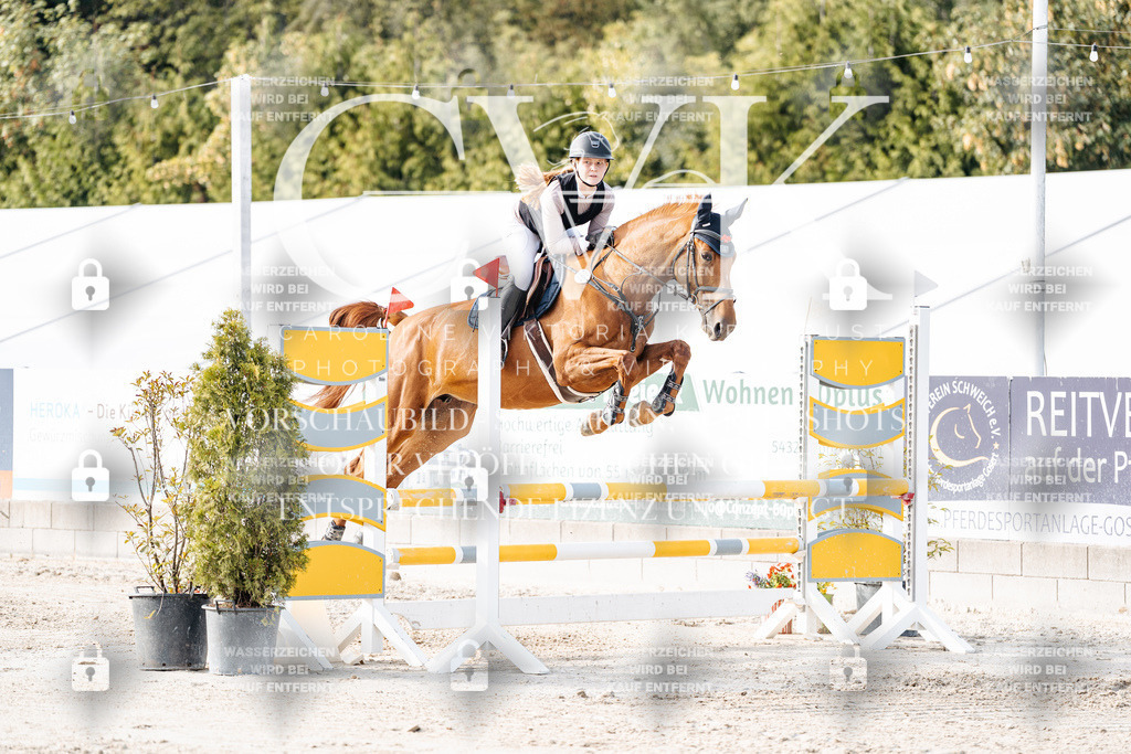 CK906332 | Turnierfotografie Pferdefotografie Trier Rheinland-Pfalz Pferdesport Reitsport Tierfotografie Sportfotografie Pferdevideo Pferdevideografie Equestrianvideography equestrianphotography  - Realisiert mit Pictrs.com