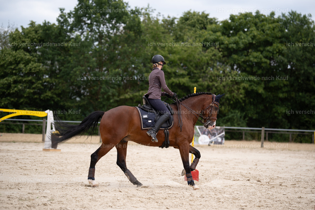 WL_ST_105_stoibphotography__SO11049 | working equitationturnier fotograf videograf stoibphotography marixx film working equitation deutschland reitsport turnierfotografie eventfotografie equestrian events