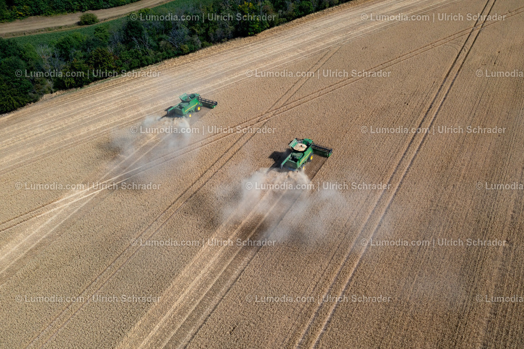 10049-51581 - Getreideernte | Stockfoto und Bilderpool mit Bildmaterial aus Deutschland, dem Harz, Halberstadt, Quedlinburg, Wernigerode und weltweit. Qualitativ hochwertige und professionelle Fotos anschauen und kaufen. - Realisiert mit Pictrs.com