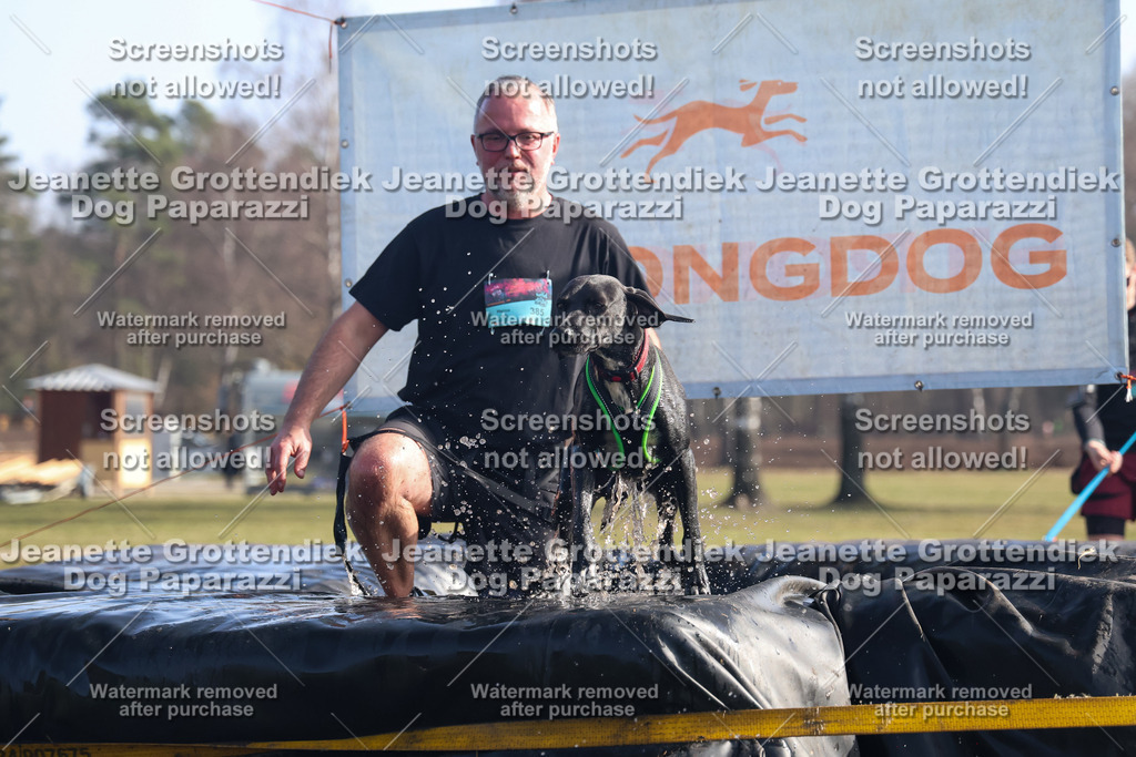 Dog Paparazzi - Strongdog North Mrz26-1114 | Dog Paparazzi Jeanette Grottendiek Fotografie & Videografie - Realisiert mit Pictrs.com