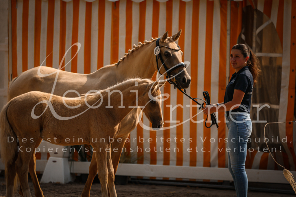 10.DoRP00007 | Leoni Ertmer Photography - Realisiert mit Pictrs.com