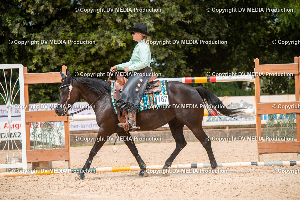 EWP_6395 | dv-media-shop - Realisiert mit Pictrs.com