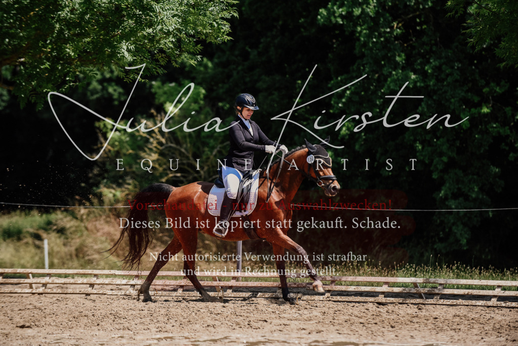 DSC_1902 | Pferde- und Turnierfotografie in Westsachsen. Pferdeportraits, Auftragszeichnungen und intuitive Kunst.