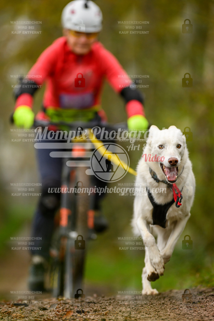 MompixPhotography_20TSB_E6_Bike-170 | PayLife