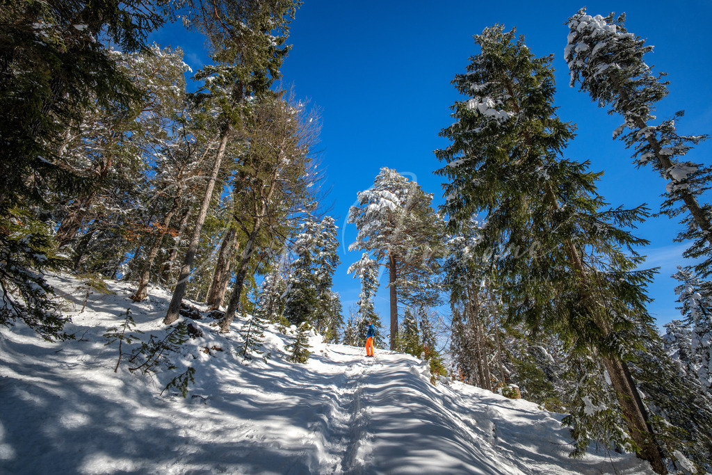 Brunschkopf | Schneeschuhwanderung zum Brunschkopf