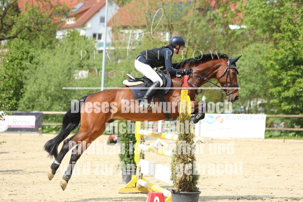 IMGM5802 | pl-fotografie