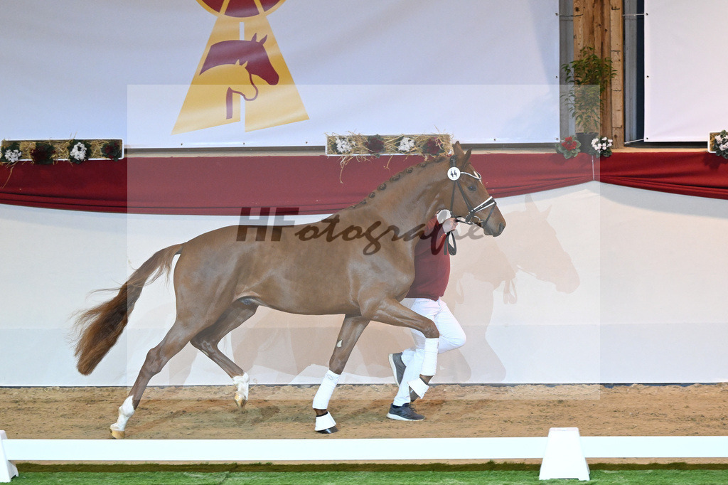 Kat-Nr. 44 Donier_Hertweck_1230035 | hf-fotografie - Realizzato con Pictrs.com
