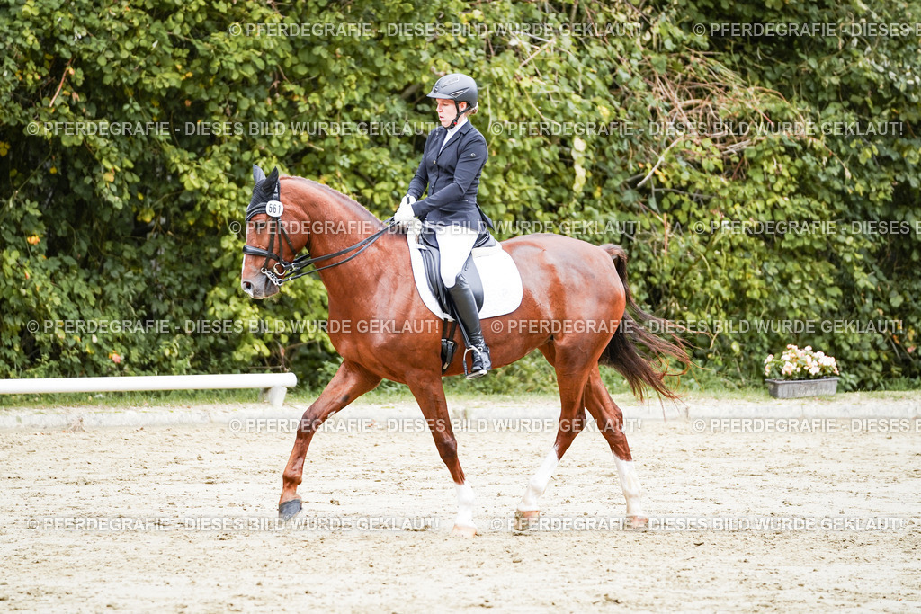 DSC04345 | Pferdegrafie