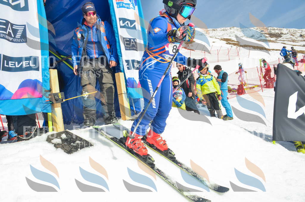 _ELE5568 | holidayphoto