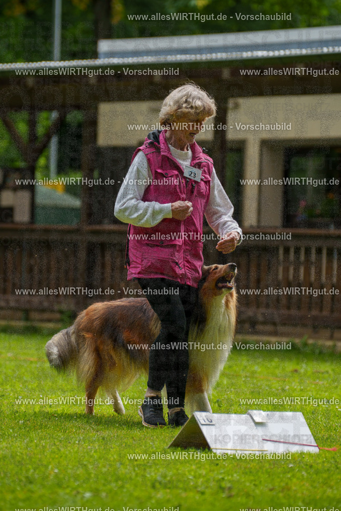@allesWIRTHgut_Tierfotografie - www.allesWIRTHgut.de - 095144-7R507758 | Professionelle Tierfotografie in Mönchengladbach von Daniel Wirth (allesWIRTHgut). Liebevolle & natürliche Bilder von Hunden & Katzen für unvergessliche Erinnerungen.