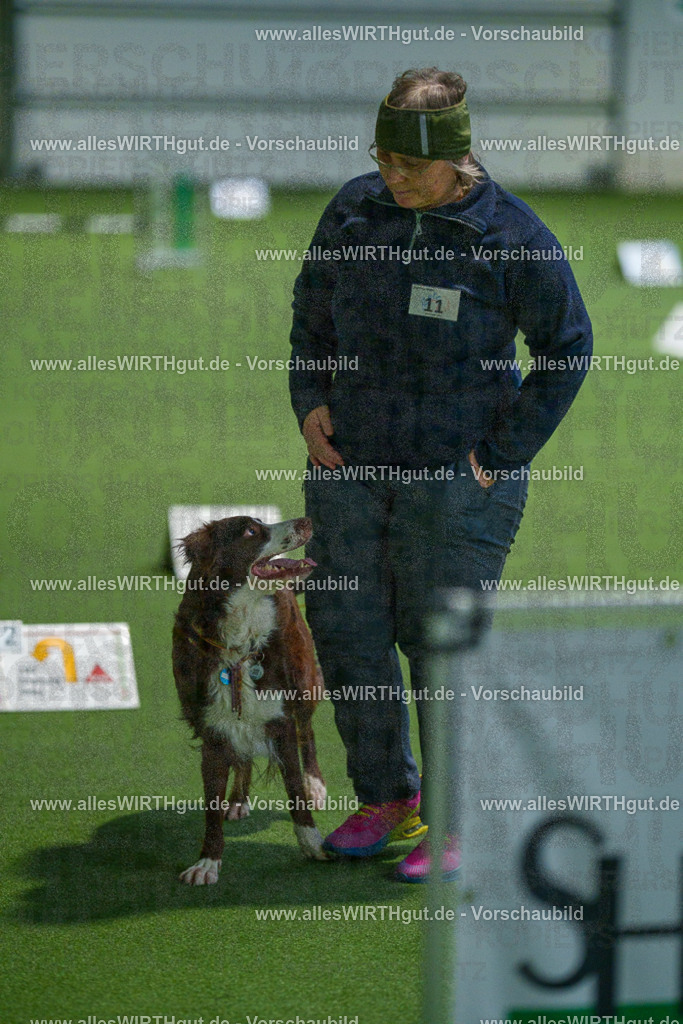 7R505029 | Professionelle Tierfotografie in Mönchengladbach von Daniel Wirth (allesWIRTHgut). Liebevolle & natürliche Bilder von Hunden & Katzen für unvergessliche Erinnerungen.