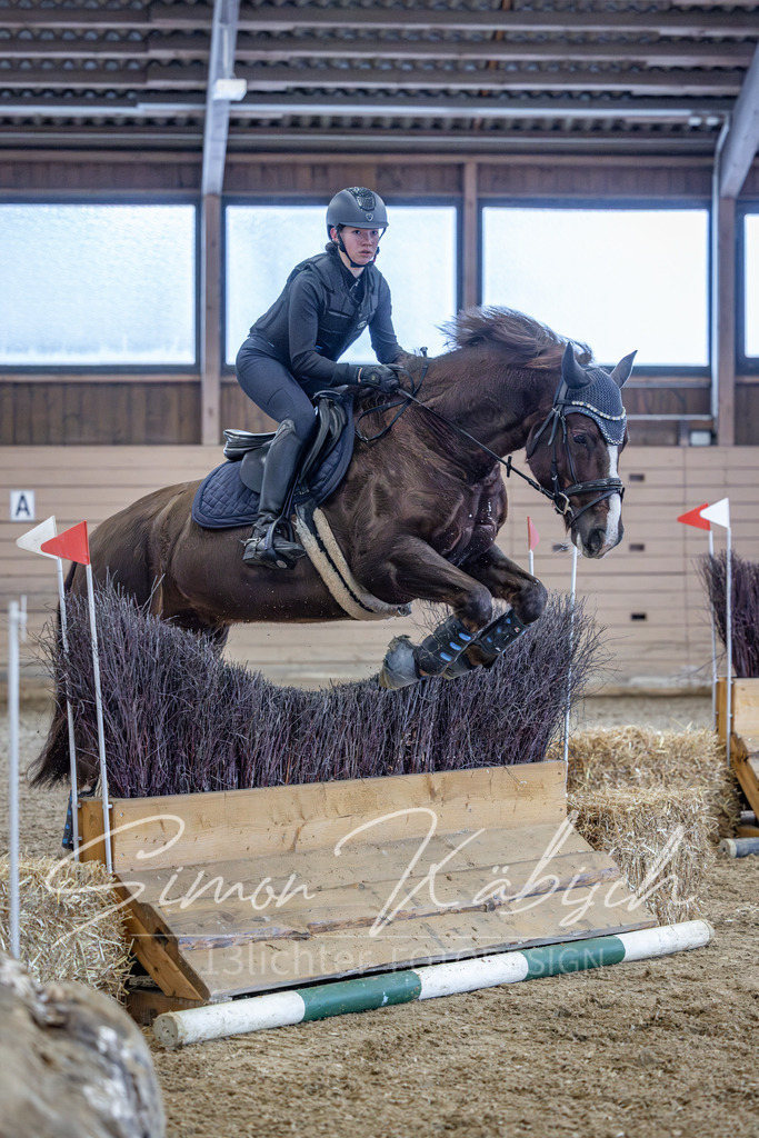 20260221-_3LI8591 | Tierfotografie Pferde, Hunde, Katzen, Haustiere.
Turnierfotografie Reitturniere, Reiten, Springreiten, Dressur in Hanau, dem Main-Kinzig-Kreis und dem Rhein-Main- Gebiet um Frankfurt