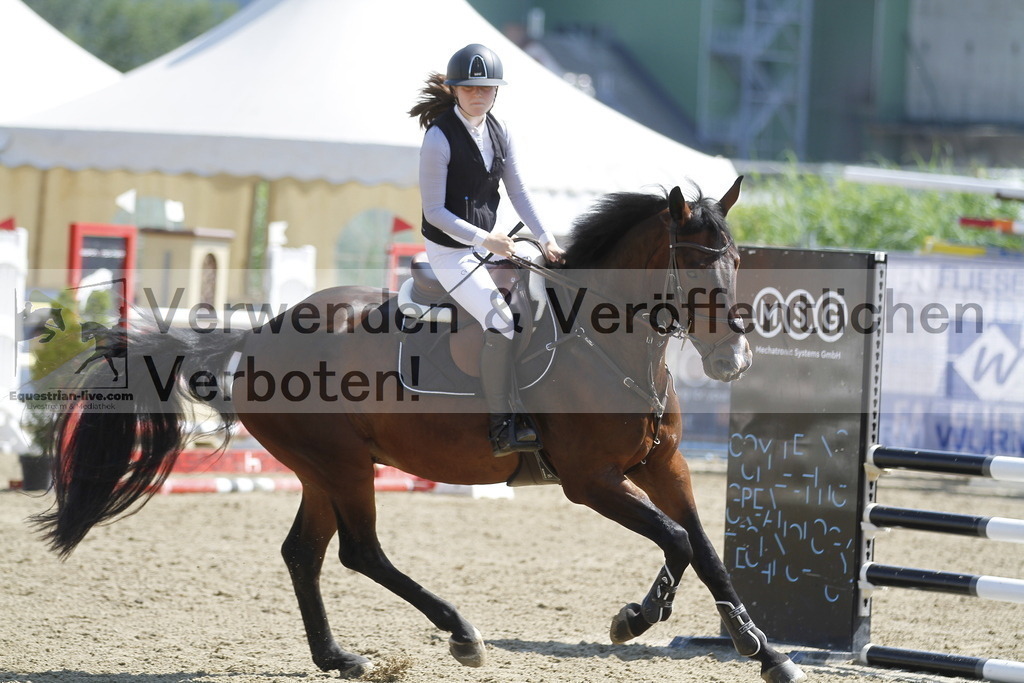 _MG_3146 | equestrian-live-com